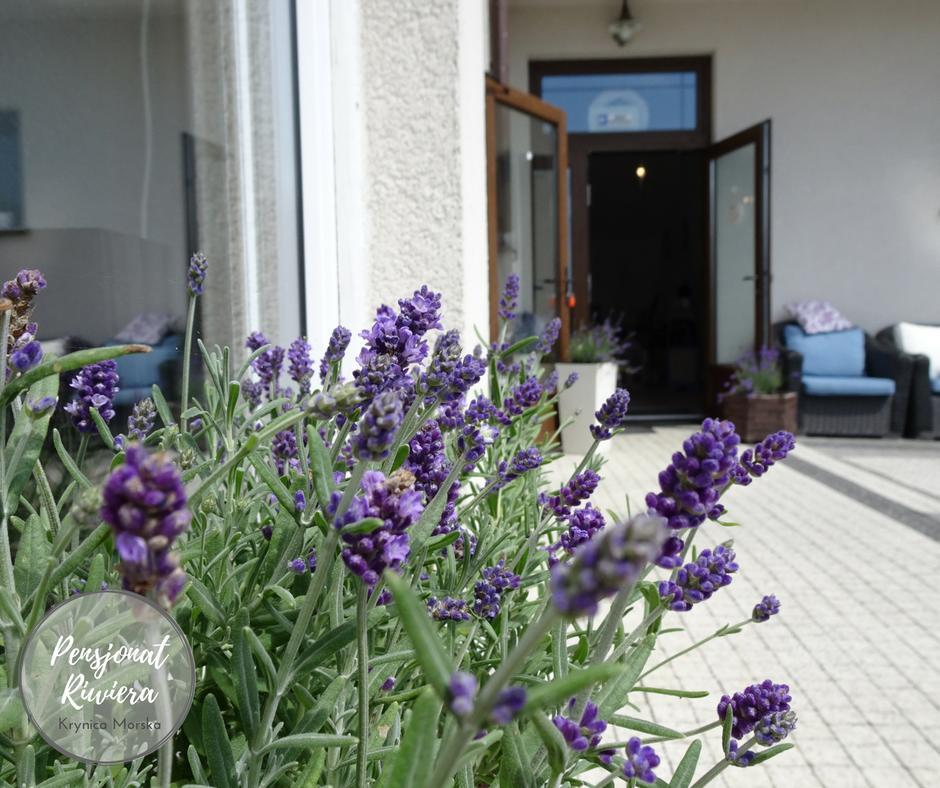 Habitación en casa particular Riwiera Z Widokiem Na Zalew Wislany